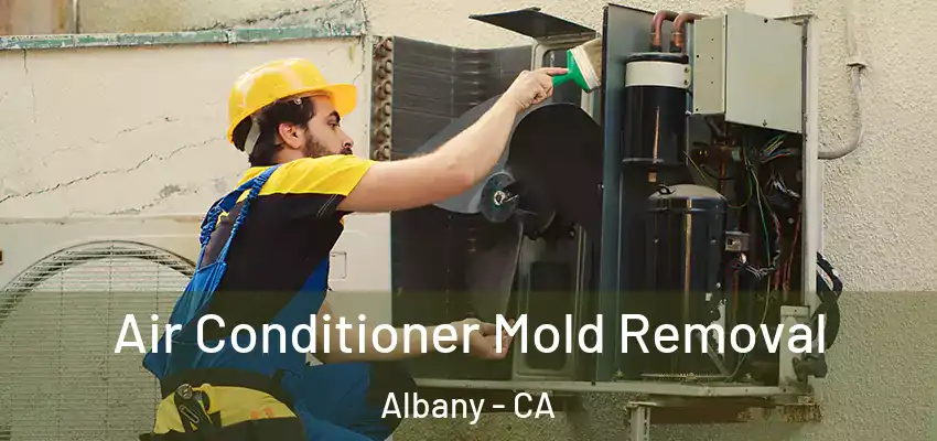 Air Conditioner Mold Removal Albany - CA