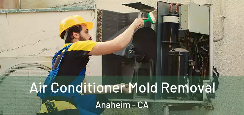 Air Conditioner Mold Removal Anaheim - CA