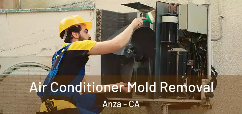  Air Conditioner Mold Removal Anza - CA
