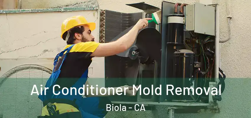  Air Conditioner Mold Removal Biola - CA