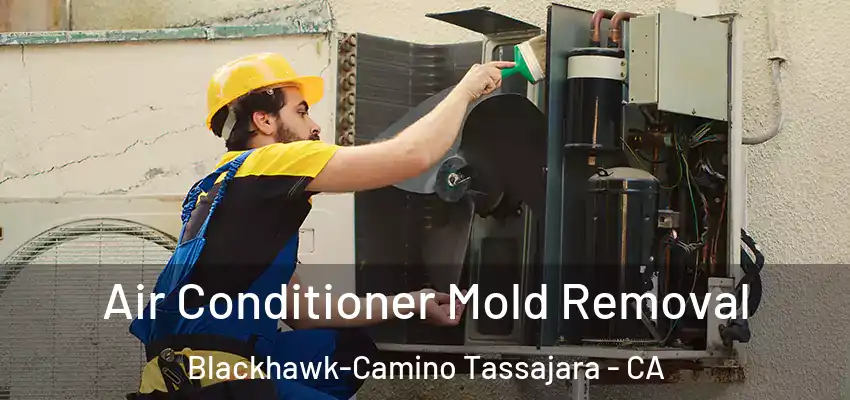  Air Conditioner Mold Removal Blackhawk-Camino Tassajara - CA