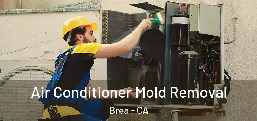  Air Conditioner Mold Removal Brea - CA