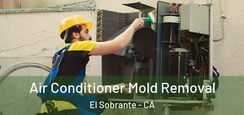  Air Conditioner Mold Removal El Sobrante - CA