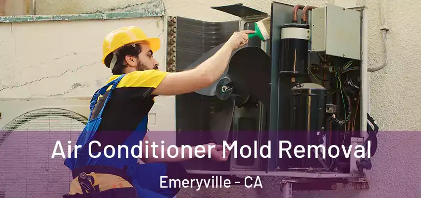  Air Conditioner Mold Removal Emeryville - CA