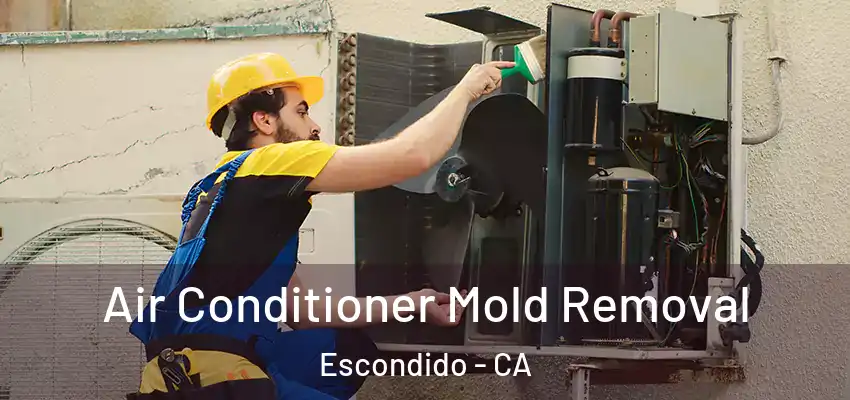  Air Conditioner Mold Removal Escondido - CA