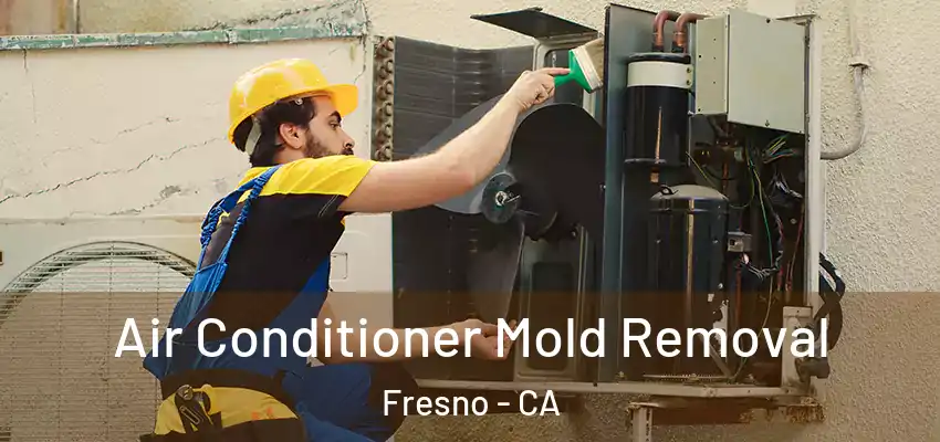  Air Conditioner Mold Removal Fresno - CA