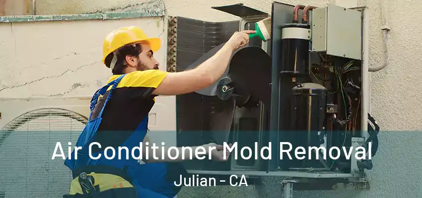  Air Conditioner Mold Removal Julian - CA