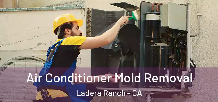  Air Conditioner Mold Removal Ladera Ranch - CA