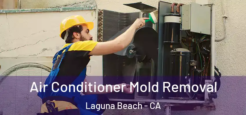  Air Conditioner Mold Removal Laguna Beach - CA