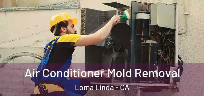  Air Conditioner Mold Removal Loma Linda - CA