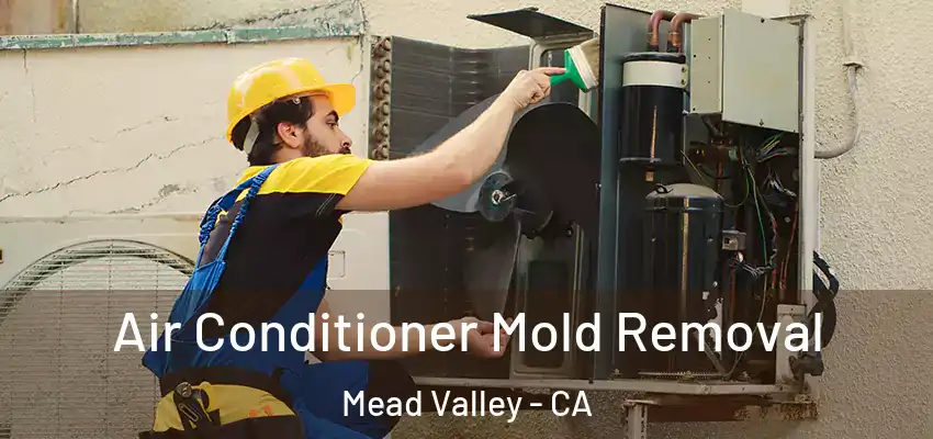  Air Conditioner Mold Removal Mead Valley - CA
