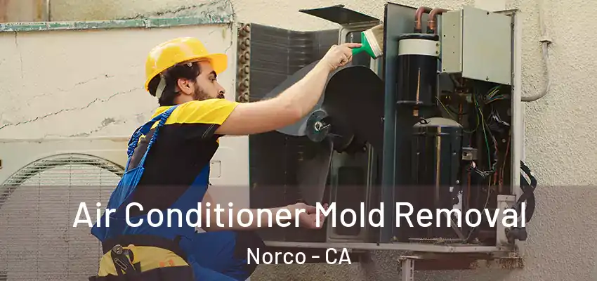  Air Conditioner Mold Removal Norco - CA