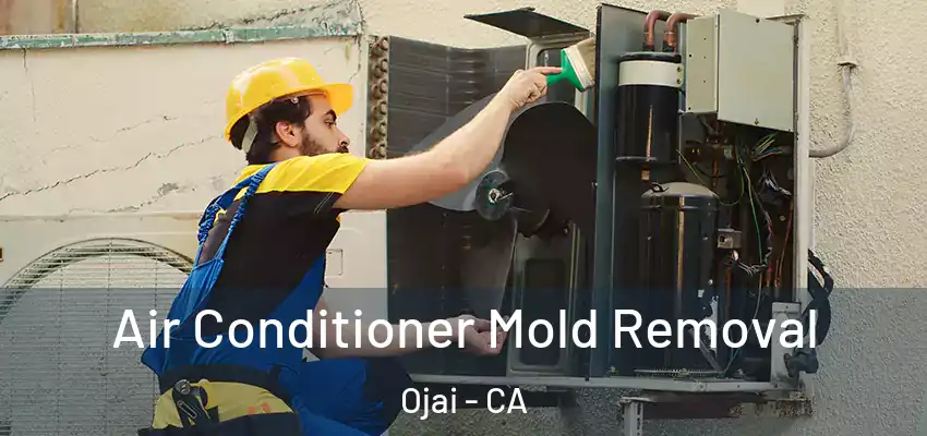  Air Conditioner Mold Removal Ojai - CA