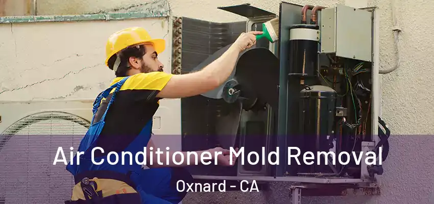 Air Conditioner Mold Removal Oxnard - CA