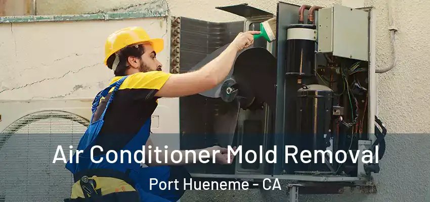  Air Conditioner Mold Removal Port Hueneme - CA
