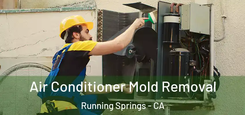  Air Conditioner Mold Removal Running Springs - CA