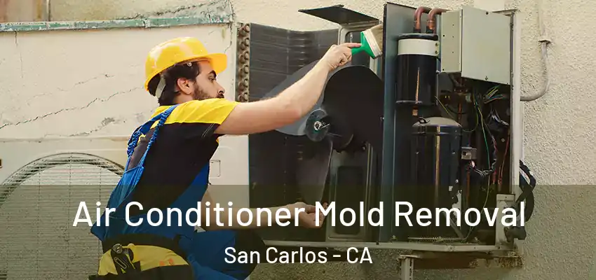  Air Conditioner Mold Removal San Carlos - CA