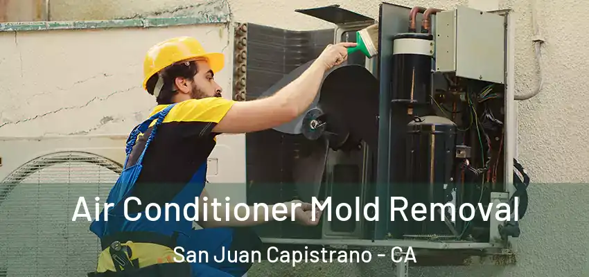 Air Conditioner Mold Removal San Juan Capistrano - CA