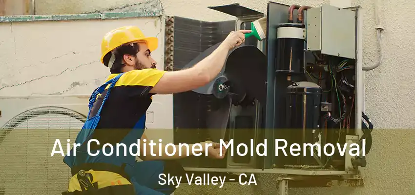  Air Conditioner Mold Removal Sky Valley - CA