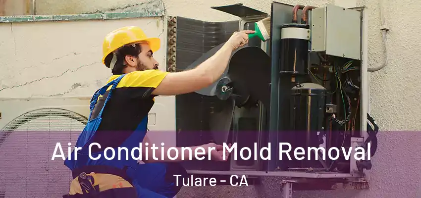  Air Conditioner Mold Removal Tulare - CA