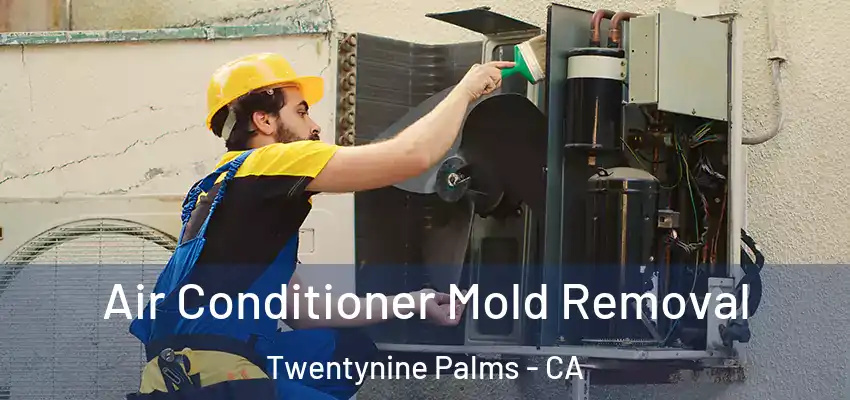  Air Conditioner Mold Removal Twentynine Palms - CA