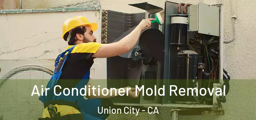  Air Conditioner Mold Removal Union City - CA