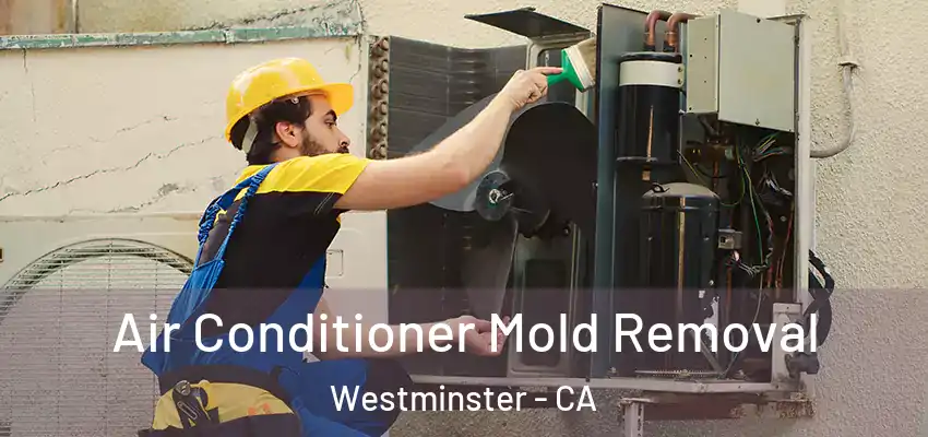  Air Conditioner Mold Removal Westminster - CA
