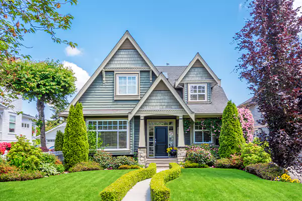 Black Mold Clean Up in San Bernardino, CA