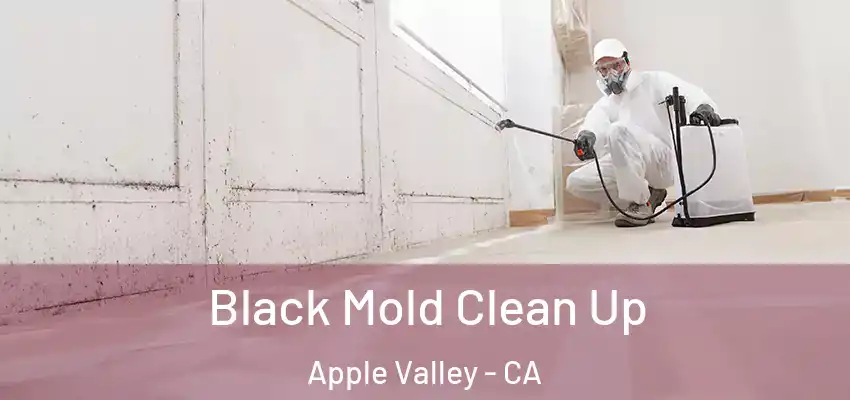  Black Mold Clean Up Apple Valley - CA