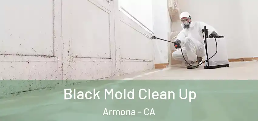  Black Mold Clean Up Armona - CA