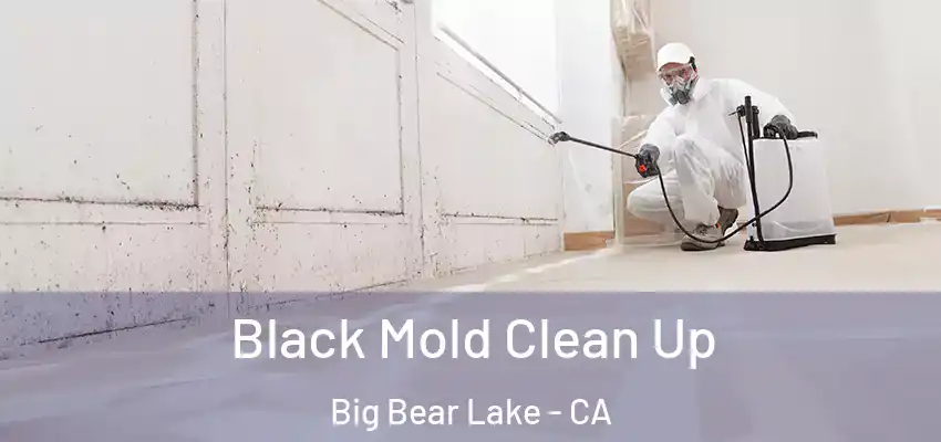  Black Mold Clean Up Big Bear Lake - CA
