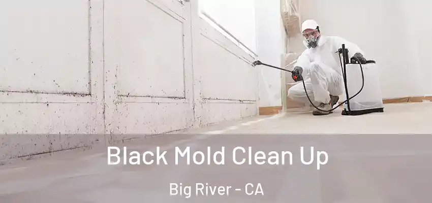 Black Mold Clean Up Big River - CA