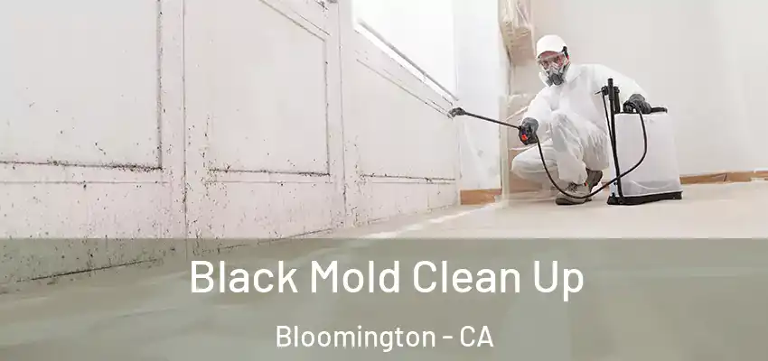  Black Mold Clean Up Bloomington - CA