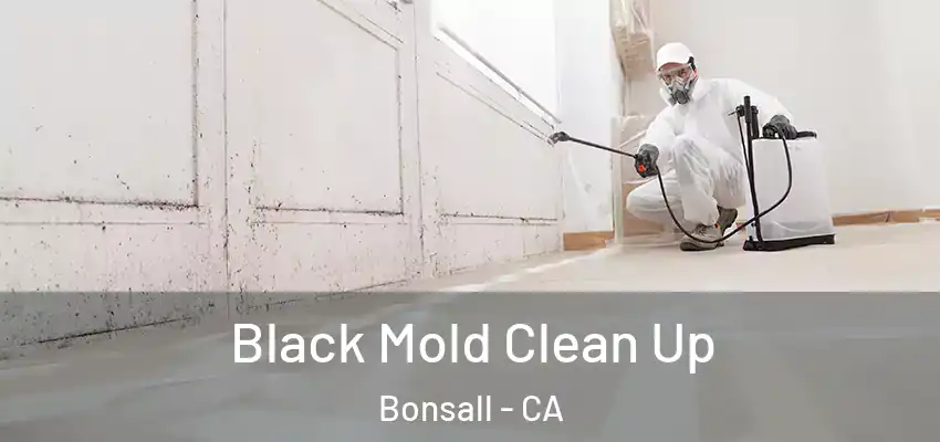  Black Mold Clean Up Bonsall - CA