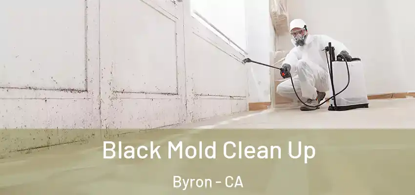  Black Mold Clean Up Byron - CA
