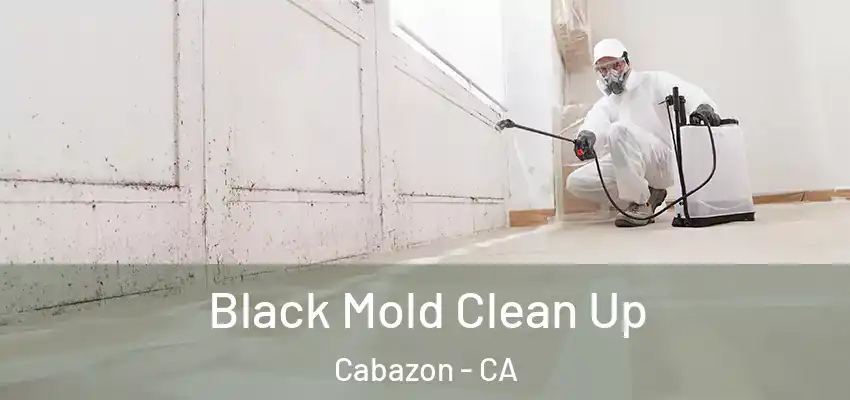  Black Mold Clean Up Cabazon - CA