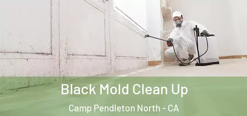  Black Mold Clean Up Camp Pendleton North - CA