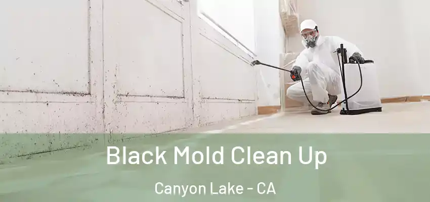 Black Mold Clean Up Canyon Lake - CA