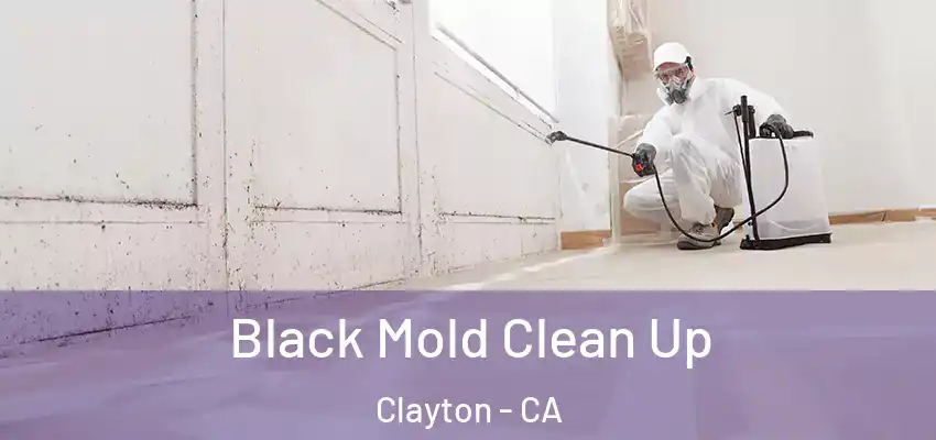  Black Mold Clean Up Clayton - CA