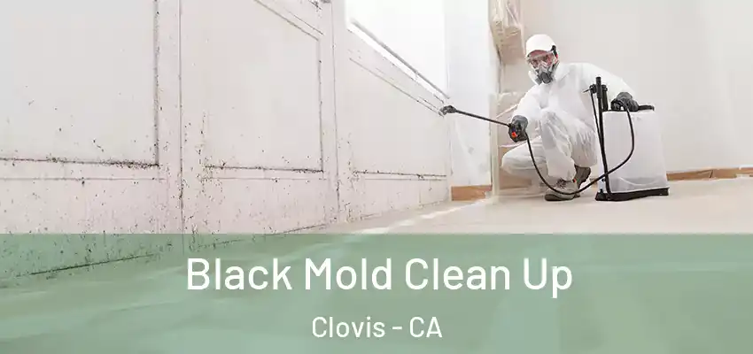 Black Mold Clean Up Clovis - CA