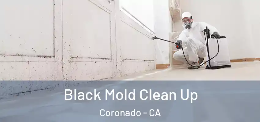  Black Mold Clean Up Coronado - CA