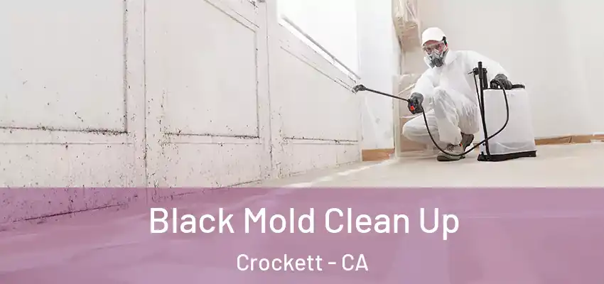  Black Mold Clean Up Crockett - CA