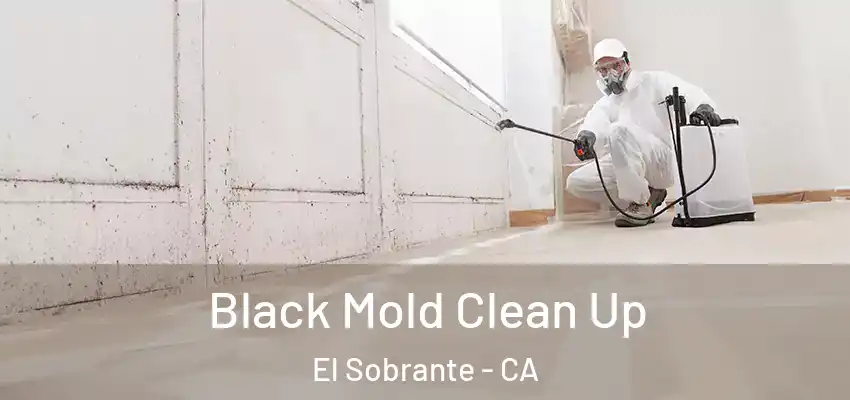  Black Mold Clean Up El Sobrante - CA