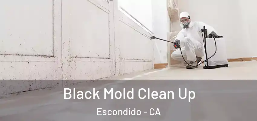  Black Mold Clean Up Escondido - CA