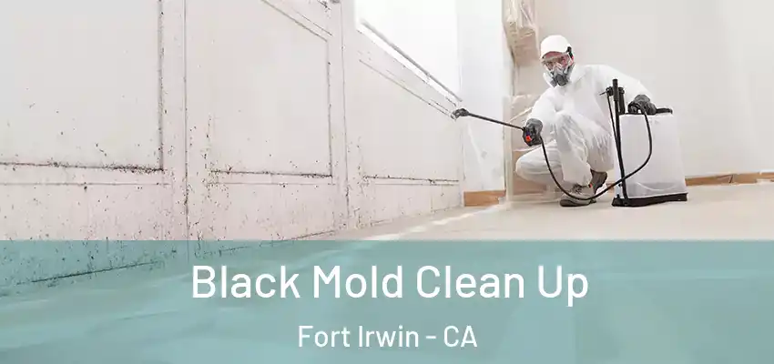  Black Mold Clean Up Fort Irwin - CA