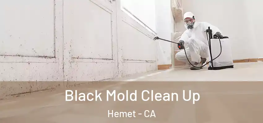  Black Mold Clean Up Hemet - CA