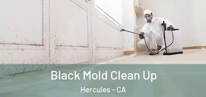 Black Mold Clean Up Hercules - CA
