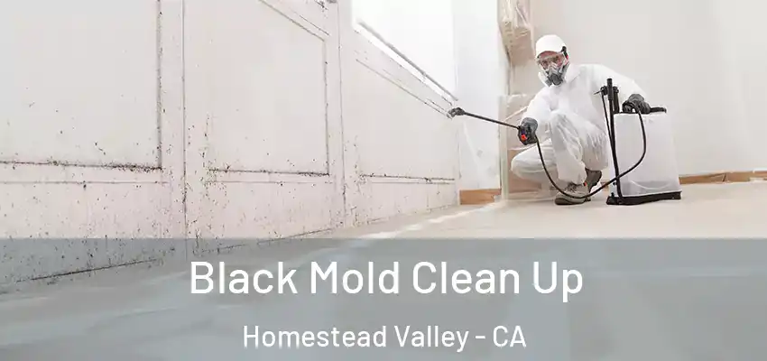  Black Mold Clean Up Homestead Valley - CA
