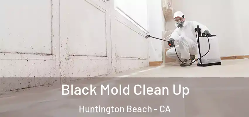  Black Mold Clean Up Huntington Beach - CA