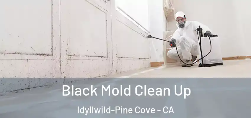  Black Mold Clean Up Idyllwild-Pine Cove - CA